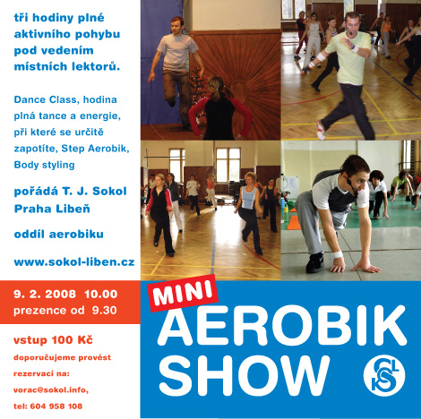 mini Aerobik Show 2008