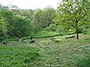 DSC03697.JPG
