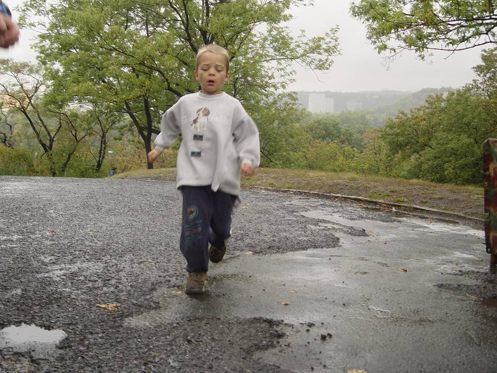 B�h strm� do z�meck�ho vrchu 23.9.2004