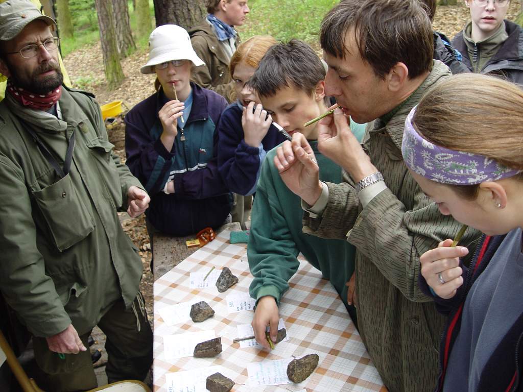 Jarn� V�let Libe�. Sokola - �jezd nad Zbe�nem, 7.5.2005