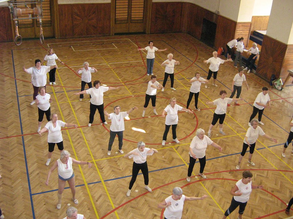Cvi�. hodina V�rn� gardy 31.3.08