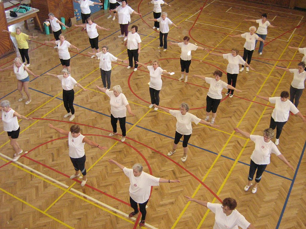 Cvi�. hodina V�rn� gardy 31.3.08