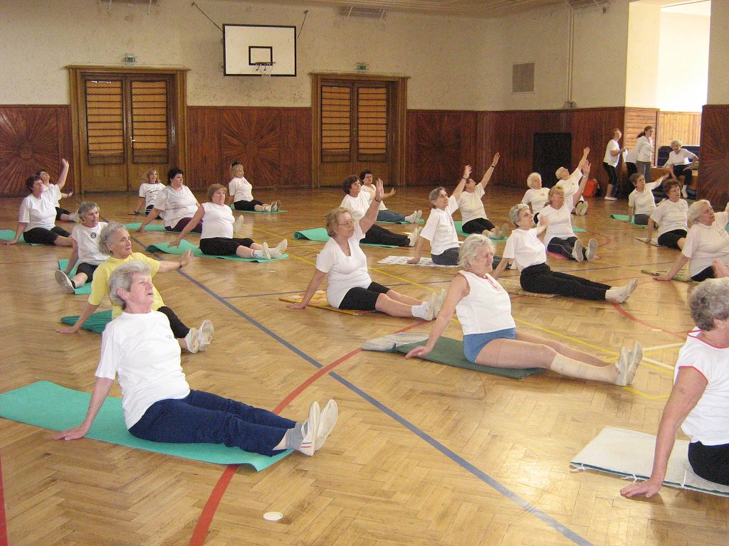 Cvi�. hodina V�rn� gardy 31.3.08